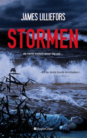 Stormen book image